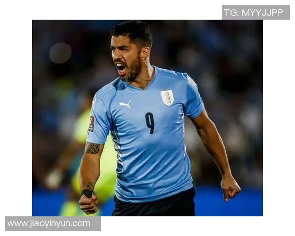 瑞士军刀锋芒毕露以2-0战胜阿尔及利亚展现强大实力